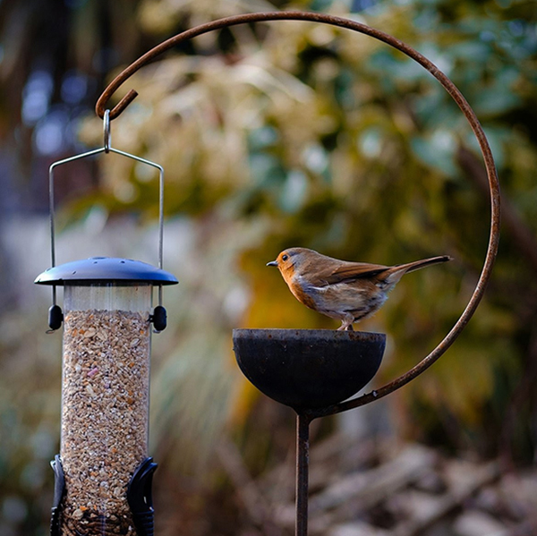 Bird Feeders and Houses at Country Charm