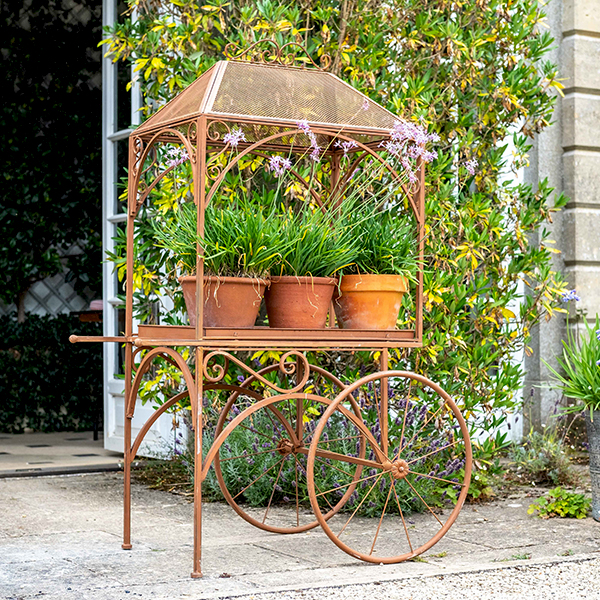 Plant Support at Country Charm