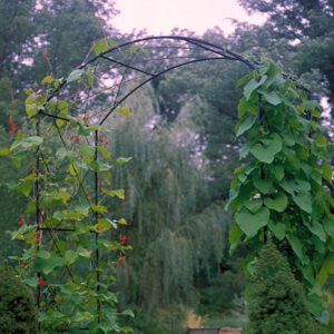 Poppy Forge Powder Coated Monet Arch