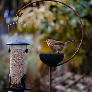 Freya Bird Crook and Robin