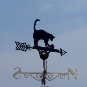 Clients Photo of Weathervane Catching the Sun