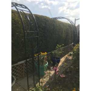 Buckingham Wall Fix Arches by Poppy Forge