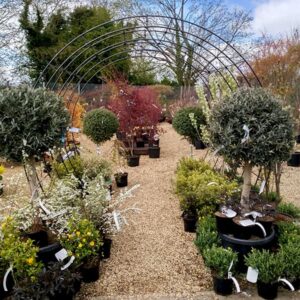 Circular Poppy Forge Tunnel Display