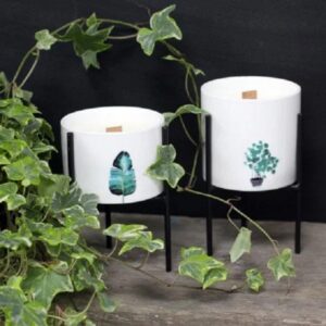Botanical Medium and Large Candles with Stands