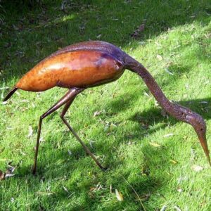 Goliath Heron Feeding