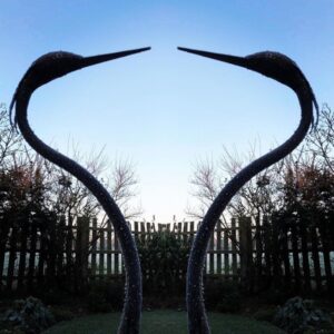 Heart Shaped Pair of Herons
