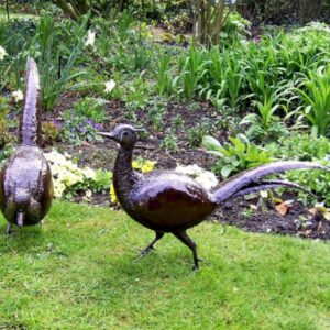 Pheasant Garden Sculptures - Fairtrade Garden Statues