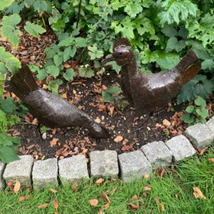Two Faraway Finds Hens - Pecking and Head Up