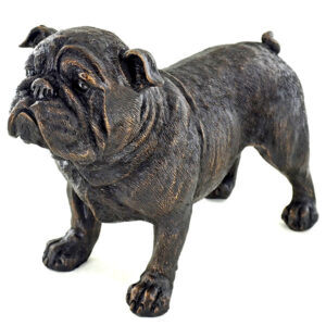 British Bulldog Bronze Effect Sculpture