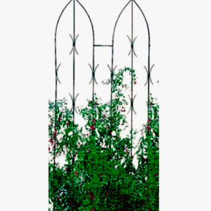 Plant Trellis | Quality Double Gothic Screen for Climbers