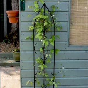 Single Gothic Screen by Poppy Forge