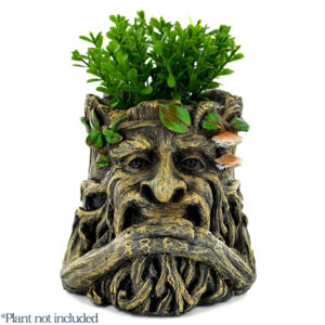 Tree Ent Planter Pot Holding Beard with Plant