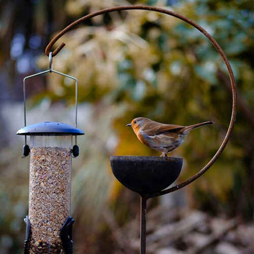 Bird Feeders and Houses at Country Charm Bird Feeders and Houses at Country Charm