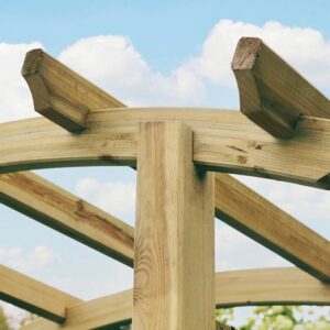 Daria Wooden Garden Arch