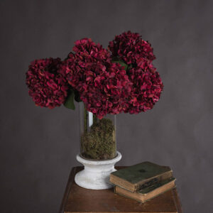 Display of Five Autumn Ruby Hydrangea Blooms