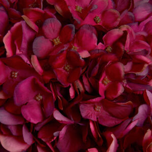 Faux Autumn Ruby Hydrangea Bloom