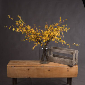 Forsythia Faux Flowers Stunning Botanical Accuracy