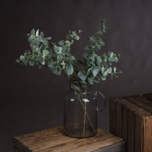 Faux Variegated Eucalyptus | 3 Beautifully Realistic Stems
