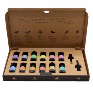 Autumnal Essential Oils | Set of Twelve Pure 5ml Bottles