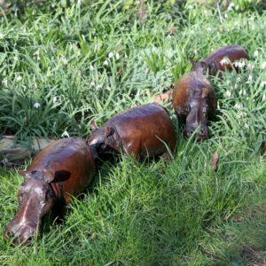 Hippo Sculptures for the Garden and Indoors