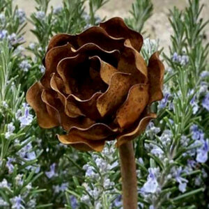 Set of 3 Rose Top Plant Pins | 4ft or 5ft Pins