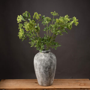 Faux Cow Parsley Ammi Stems Alone