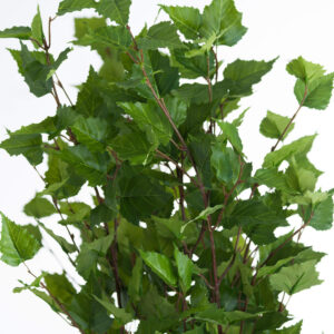 Faux Green Branches - Set of Two