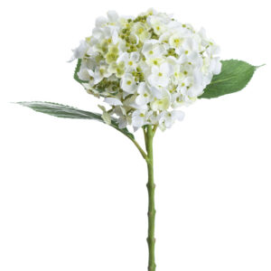 Faux White Lace Cap Hydrangea