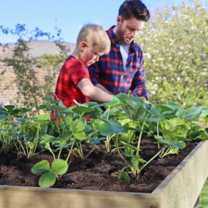 Long Raised 2M Vegetable Bed in Use