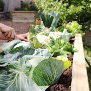 Narrow Wooden Raised Planter - Zest Sleeper Planter