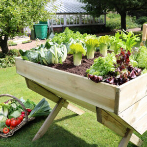 Small Vegetable Bed - Manger Style