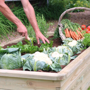 Zest Wooden 1.8m Sleeper for Hard Surface Planting