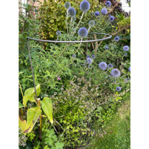 Border Support 86cm by 38cm