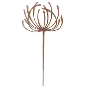Clematis Plant Pins