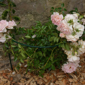 Curved Border Supports | Green Plastic Coating