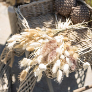 Set of 120 Dried White Bunny Tail