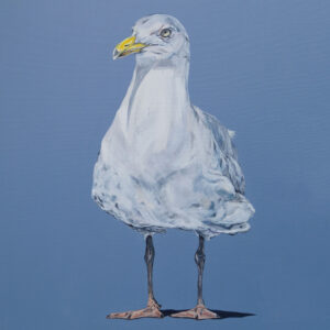 This Is My Gull Friend Tile | Sam Fenner Licensed Print