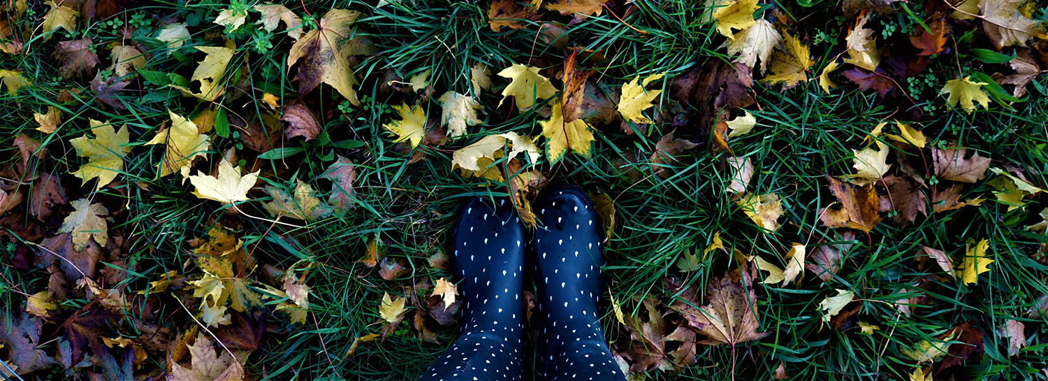 Autumn Leaves and Boot Care