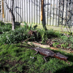 Crocodile Sculpture for the Garden by Faraway Finds