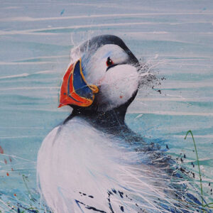 Puffin by D Finney Printed Tile