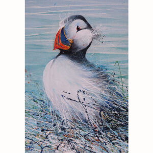 Puffin by David Finney | Licensed 30cm by 20cm Printed Tile