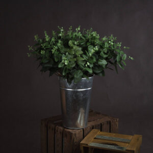 Multiple Sprays of Faux Cineraria Eucalyptus