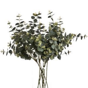 Stems of Faux Light Green Eucalyptus