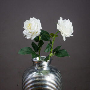 Two Faux White Garden Roses