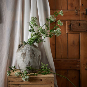 Faux Cow Parsley | Tall Versatile Stems for Floral Displays