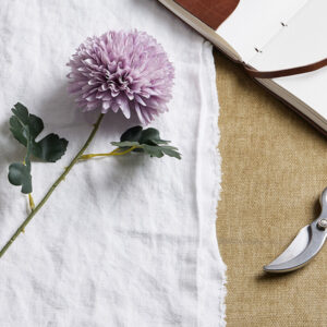 Light Purple Chrysanthemum Stem