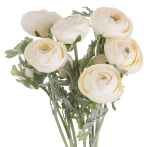 Faux Cream Ranunculus | Graceful & Botanically Accurate