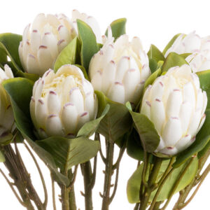 Faux Closed Protea - Up Close