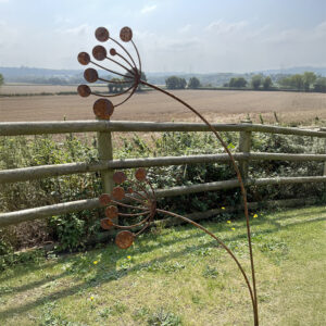 Cow Parsley Double Garden Art