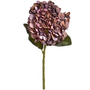 One Stem of Autumn Coffee Hydrangea